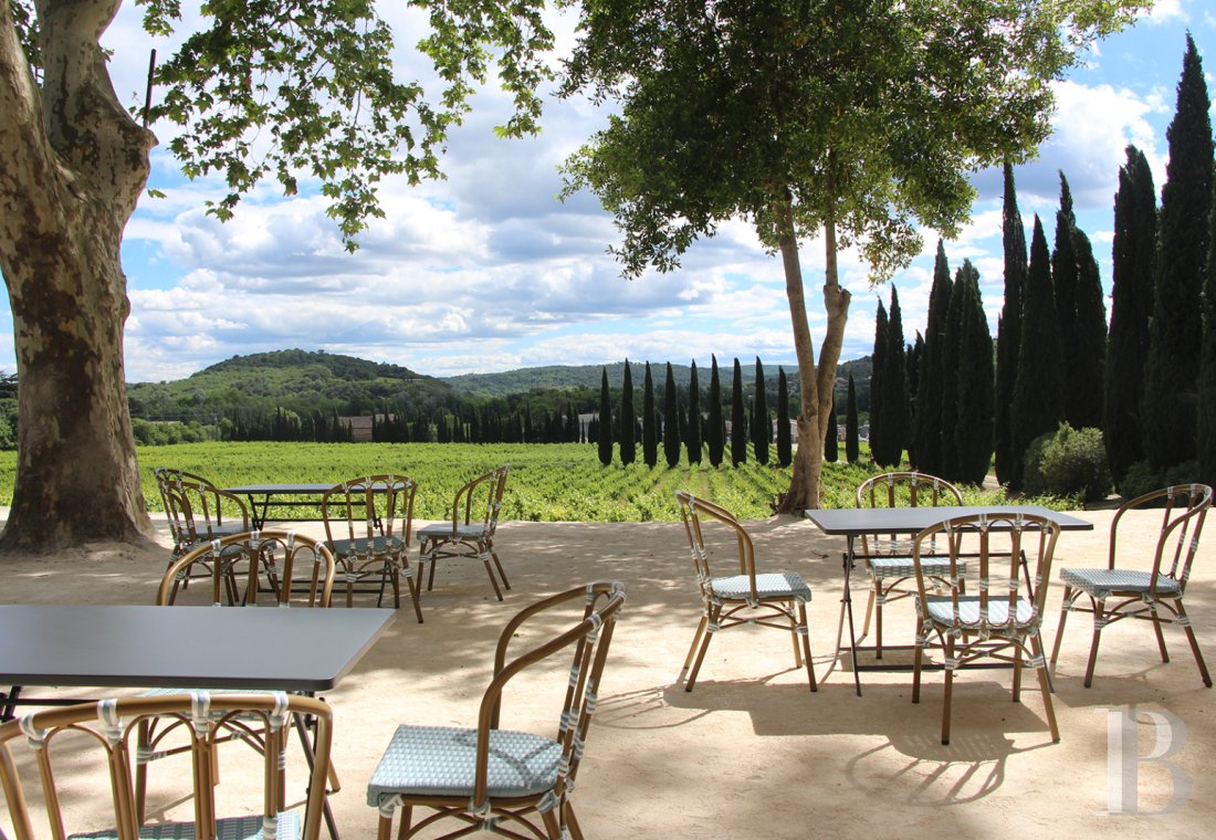 A 19th-century farmhouse surrounded by vineyards and forests between Cévennes and Provence, in the Gard Rhodanien - photo  n°6